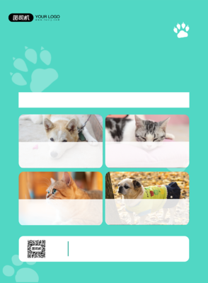 宠物服务 为爱宠打造全方位健康生活